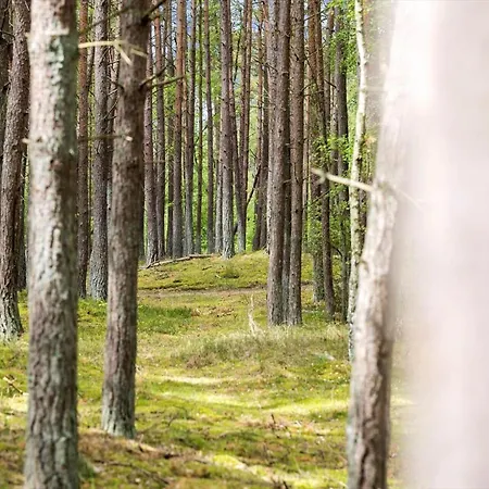 2662-nexo-egernvej-2 * Nexo